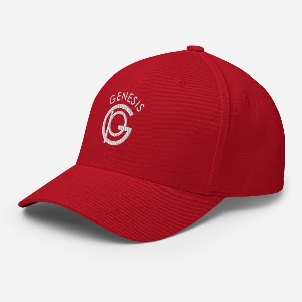 Genesis Structured Twill Cap - Image 28