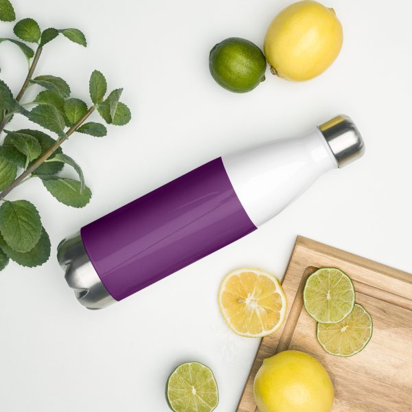 Genesis Stainless Steel Water Bottle - Image 5